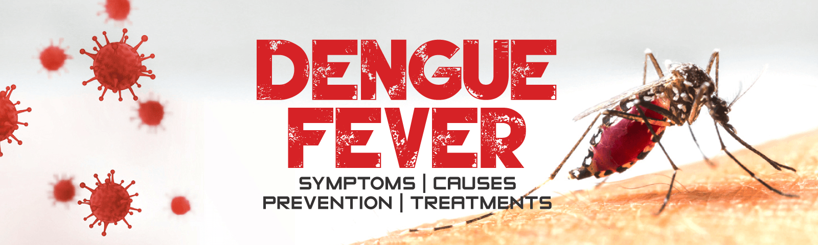 dengue fever